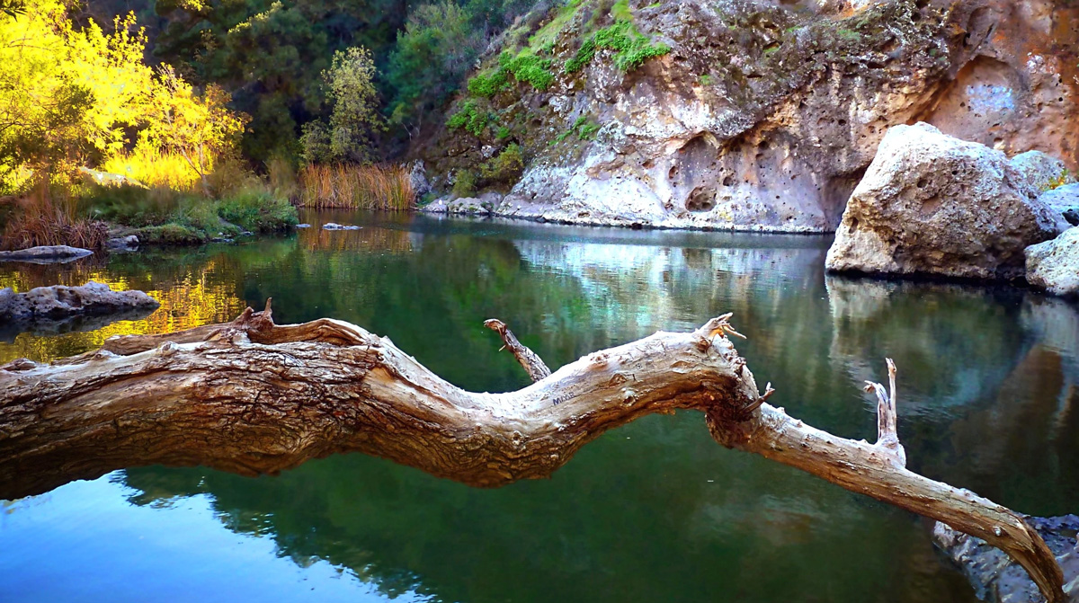 Malibu Creek