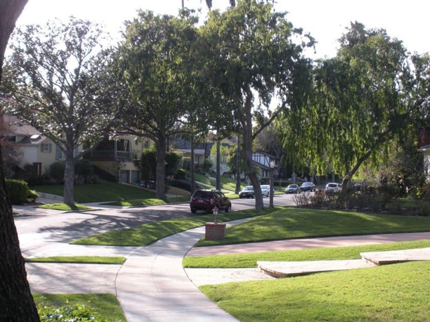 Neighborhood street